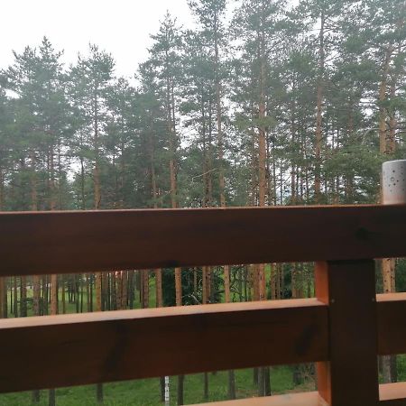 Apartman Nele Златибор Экстерьер фото