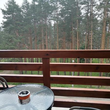 Apartman Nele Златибор Экстерьер фото